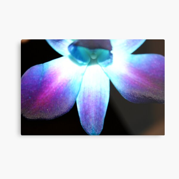 Blue Orchid (Bow Down & Surrender) Metal Print
