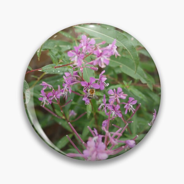 Item preview, Bumblebee Gathering Nectar on Pink Wildflower designed and sold by Pajacoom.