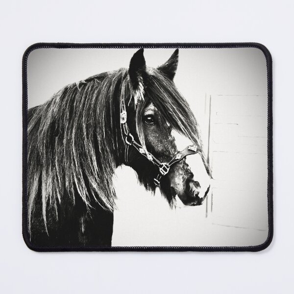 Item preview,  HEAVY HORSE ART FOR HORSE LOVERS,  designed and sold by Barbara Jean Photo Art And Design.