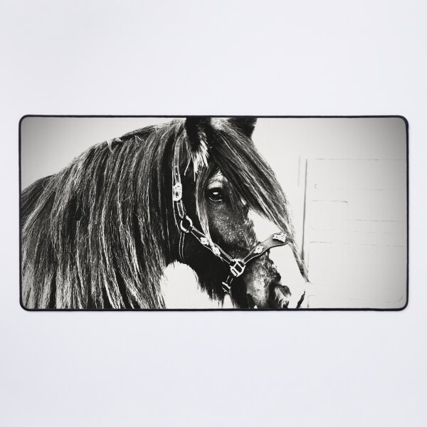 Item preview,  HEAVY HORSE ART FOR HORSE LOVERS,  designed and sold by Barbara Jean Photo Art And Design.