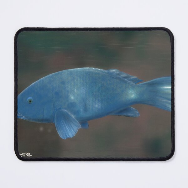 Item preview, Eastern Blue Grouper designed and sold by Chilmelt.