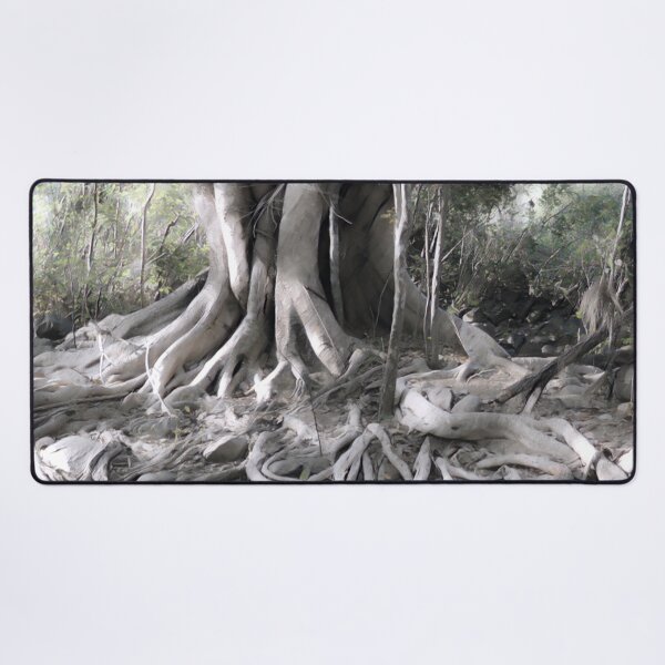 Item preview, STRANGLER FIG, BIOPHILIC DECOR designed and sold by Barbara Jean Photo Art And Design.