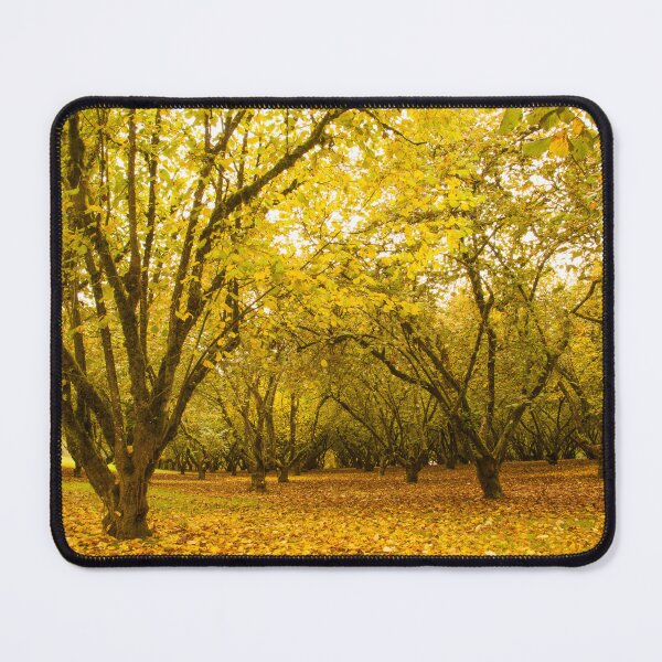 Item preview, Golden Autumn Forest Scene designed and sold by jklune.
