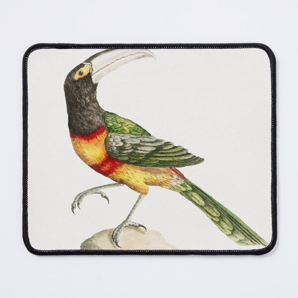 Item preview, Vintage Green Toucan Print designed and sold by Gilmour-Prints.