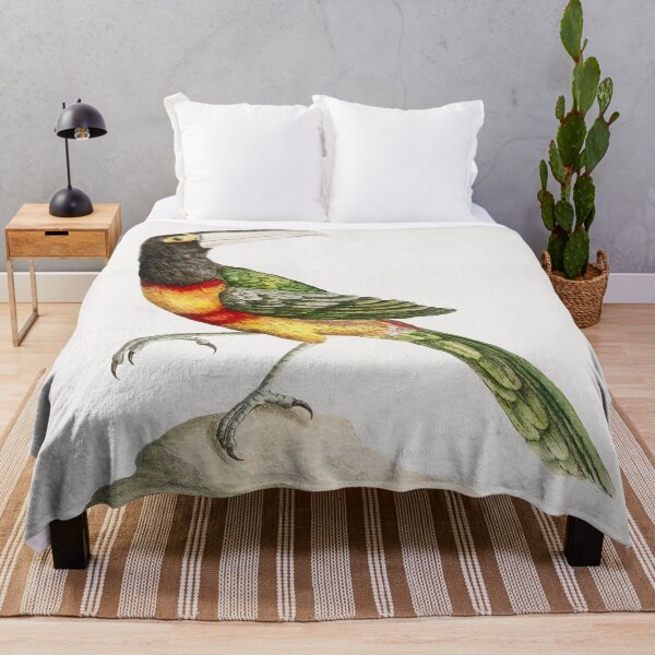 Item preview, Vintage Green Toucan Print designed and sold by Gilmour-Prints.
