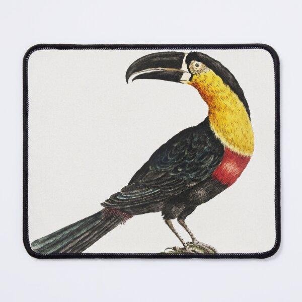 Item preview, Vintage Bird Illustration designed and sold by Gilmour-Prints.