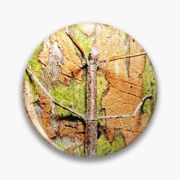 Item preview, Walking Stick Insect, Protective Coloration designed and sold by AMacGPhilly.