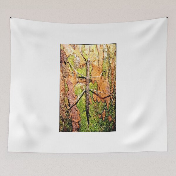 Item preview, Walking Stick Insect, Protective Coloration designed and sold by AMacGPhilly.