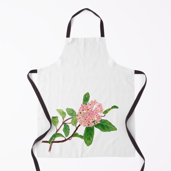 Item preview, December 17th birthday flower Hoya designed and sold by 366birthflower.