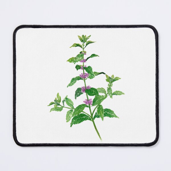 Item preview, December 21st birthday flower Mint designed and sold by 366birthflower.
