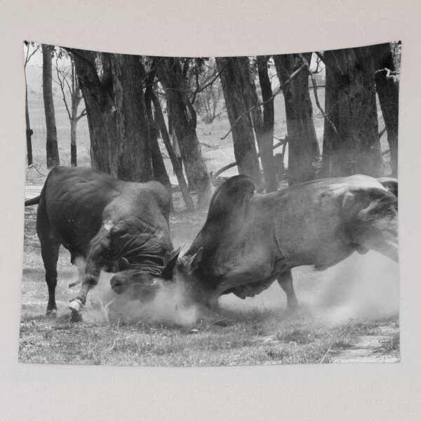 Item preview, BULL FIGHT IN THE OUTBACK, MAKES FOR GREAT WALL ART designed and sold by Barbara Jean Photo Art And Design.