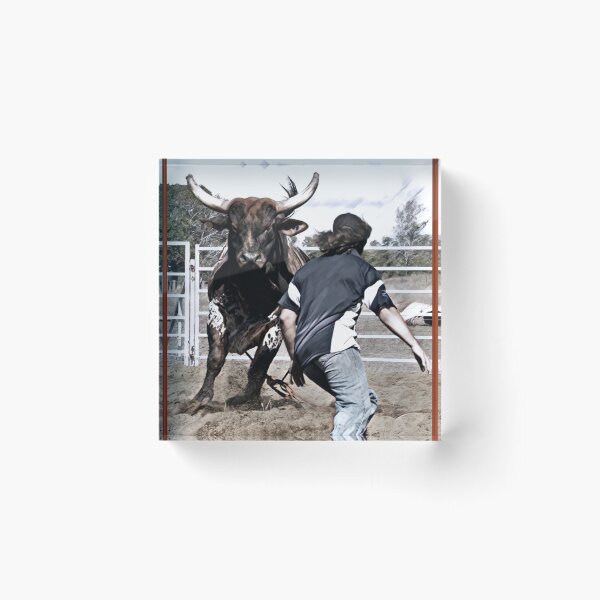 Artikelvorschau, Rodeo-Bullenkämpfer, Kunstwerk im Country-Stil entworfen und verkauft von Barbara Jean Photo Art And Design.