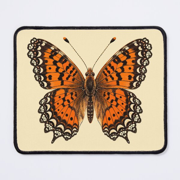 Item preview, Laced pearl crescent butterfly designed and sold by etherElric.
