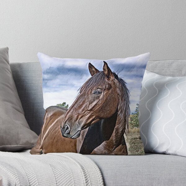 Item preview, BANJO, AWESOME HORSE FOR COUNTRY HOME DECOR designed and sold by Barbara Jean Photo Art And Design.