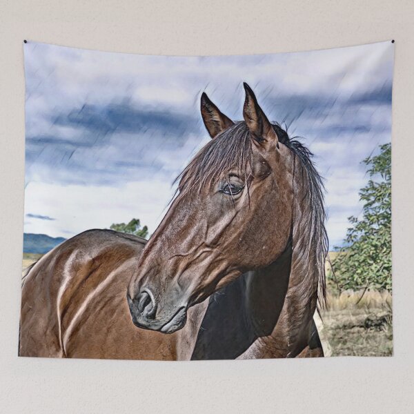 Item preview, BANJO, AWESOME HORSE FOR COUNTRY HOME DECOR designed and sold by Barbara Jean Photo Art And Design.