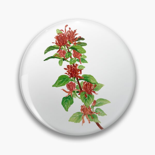 Item preview, December 30th birthday flower Carolina Allspice designed and sold by 366birthflower.