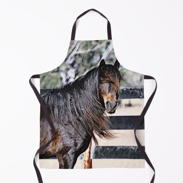 Item preview, BUNDY THE BRUMBY STALLION, HOME DECOR FOR THOSE BRUMBY LOVERS designed and sold by Barbara Jean Photo Art And Design.