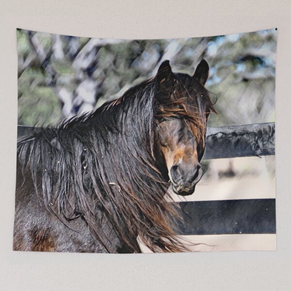 Item preview, BUNDY THE BRUMBY STALLION, HOME DECOR FOR THOSE BRUMBY LOVERS designed and sold by Barbara Jean Photo Art And Design.