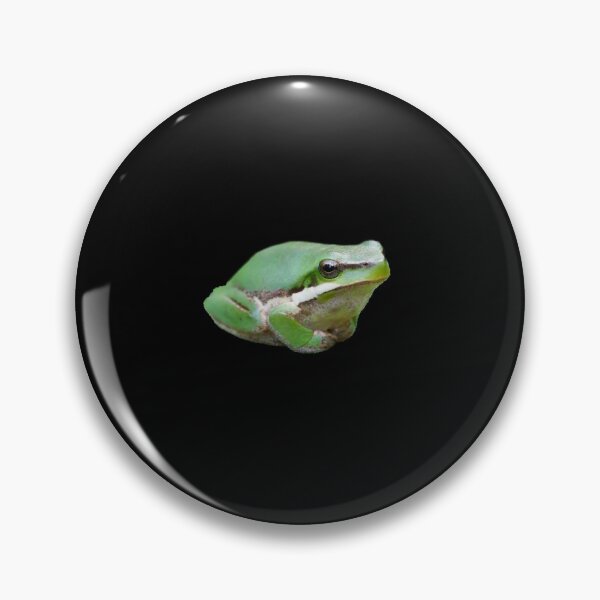 Item preview, Litoria fallax (Eastern Dwarf Tree Frog) designed and sold by Cozy-Croaker.