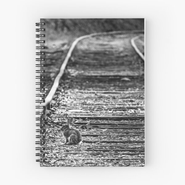 Item preview, Bunny On The Tracks designed and sold by Stephen Jolly Photography.