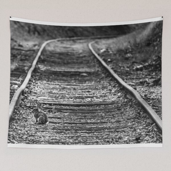 Item preview, Bunny On The Tracks designed and sold by Stephen Jolly Photography.