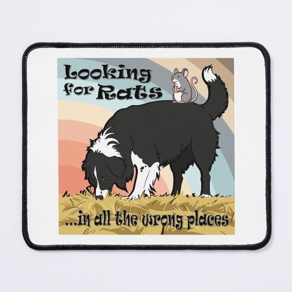 Item preview, Looking for Rats in all the Wrong Places-cute funny Barn Hunt design designed and sold by Bluek9sDesign.