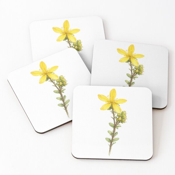 Item preview, Yellow St. John’s Wort Botanical Watercolor designed and sold by Shew Gallery.