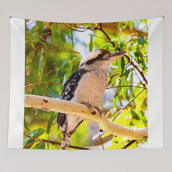 Item preview, Kookaburra designed and sold by Stephen Jolly Photography.