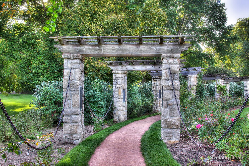 "Rose Garden Path" by Delany Dean | Redbubble