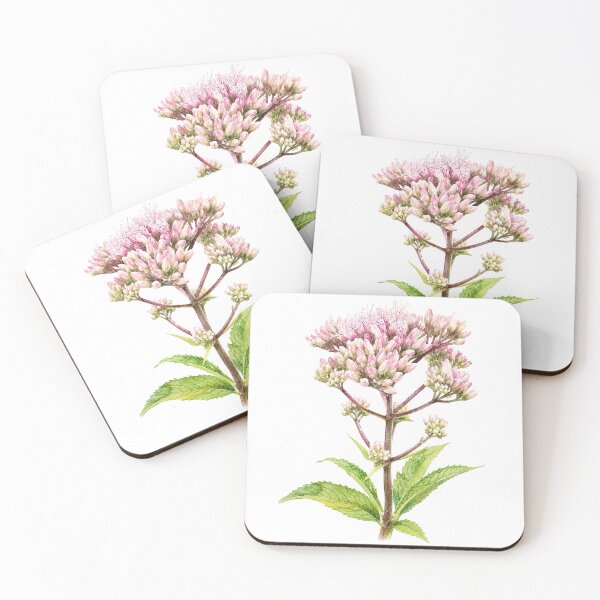 Item preview, Pink Joe Pye Weed Botanical Watercolor designed and sold by Shew Gallery.
