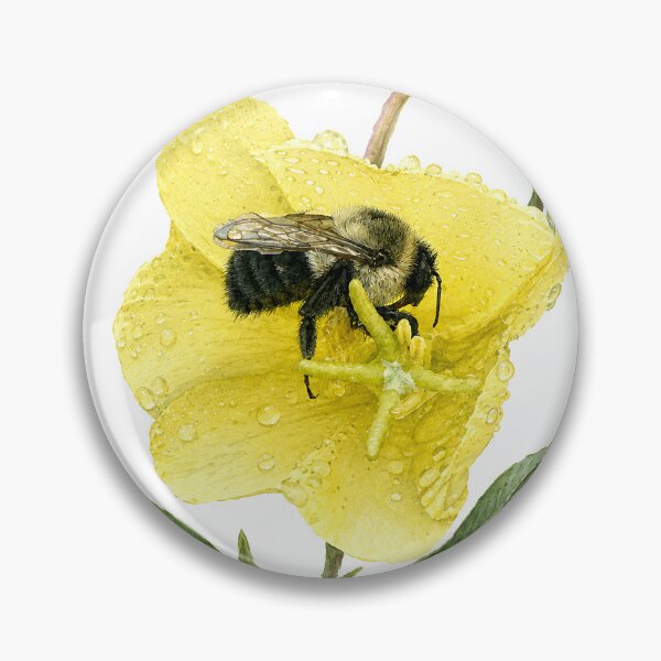 Item preview, Yellow Evening Primrose with Bumblebee Botanical Watercolor designed and sold by Shew Gallery.
