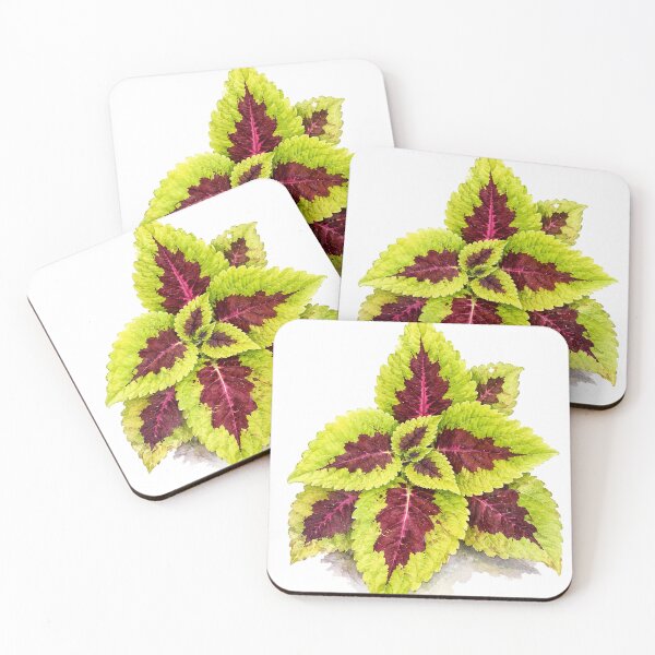 Item preview, Colorful Coleus Botanical Watercolor designed and sold by Shew Gallery.