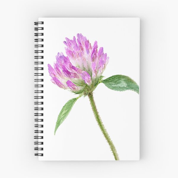 Item preview, Pink Clover Botanical Watercolor designed and sold by Shew Gallery.