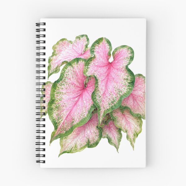 Item preview, Pink Caladium Leaves Botanical Watercolor designed and sold by Shew Gallery.