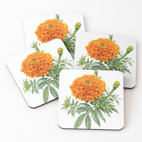 Item preview, Orange African Marigold Botanical Watercolor designed and sold by Shew Gallery.