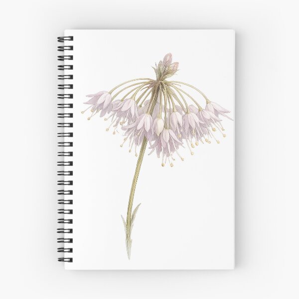 Item preview, Nodding Onion Allium Botanical Watercolor designed and sold by Shew Gallery.