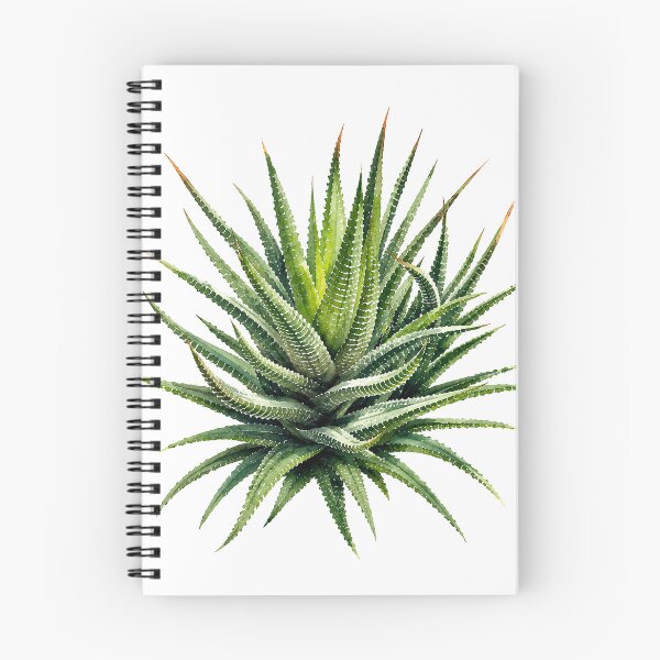 Item preview, Zebra Haworthia Succulent Botanical Watercolor designed and sold by Shew Gallery.