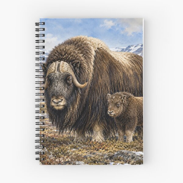 Item preview, Musk Ox and Calf on Arctic Tundra designed and sold by Pixel Junkies Studio.