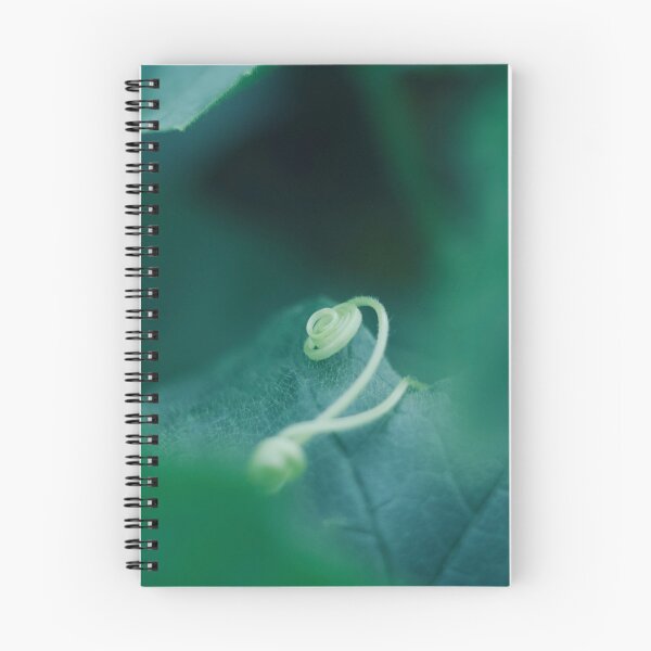 Item preview, Coiled Tendril, Awaiting the Climb  designed and sold by DenaHaines.