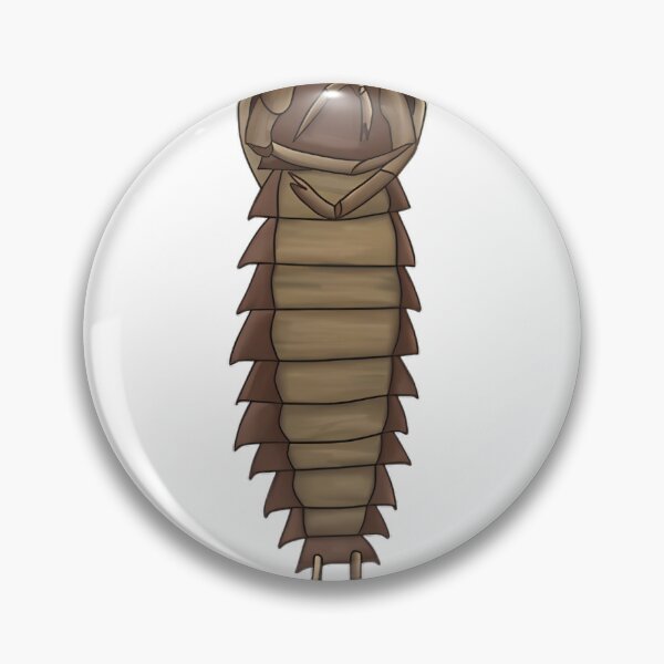 Item preview, back of Aquatic Insect Larvae designed and sold by PaperCrafte.
