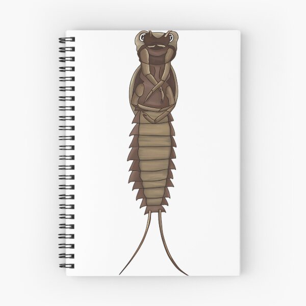 Item preview, back of Aquatic Insect Larvae designed and sold by PaperCrafte.