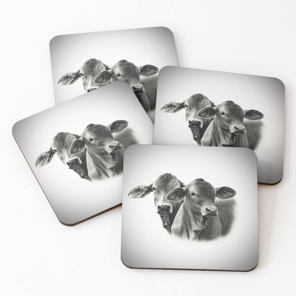 Item preview, BRAHMAN CALVES, FOR COUNTRY THEMED HOME DECOR designed and sold by Barbara Jean Photo Art And Design.