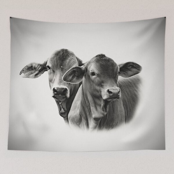 Item preview, BRAHMAN CALVES, FOR COUNTRY THEMED HOME DECOR designed and sold by Barbara Jean Photo Art And Design.
