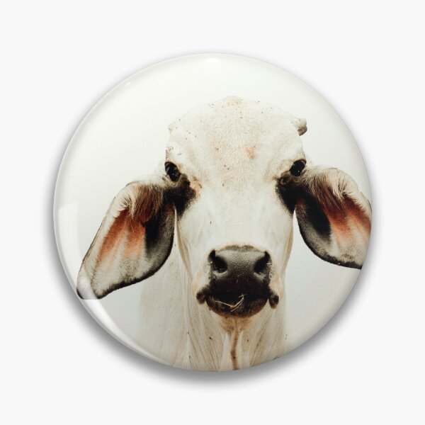 Item preview,   BRAHMAN CATTLE, FOR COUNTRY THEMED WALL DECOR designed and sold by Barbara Jean Photo Art And Design.