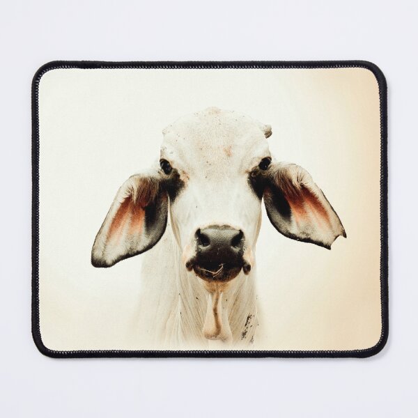 Item preview,   BRAHMAN CATTLE, FOR COUNTRY THEMED WALL DECOR designed and sold by Barbara Jean Photo Art And Design.
