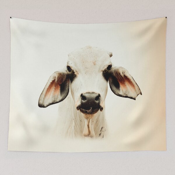 Item preview,   BRAHMAN CATTLE, FOR COUNTRY THEMED WALL DECOR designed and sold by Barbara Jean Photo Art And Design.