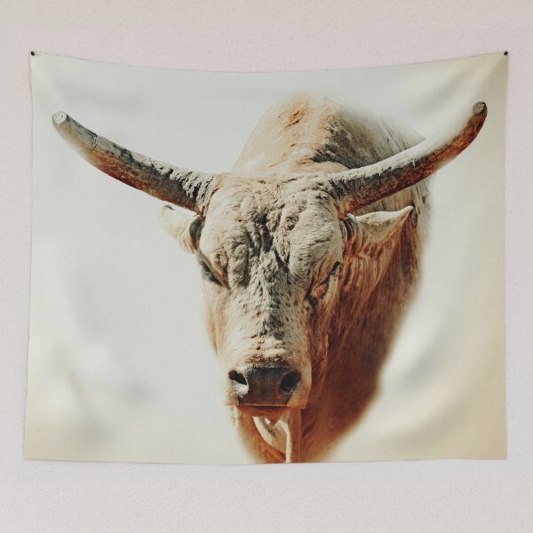 Artikelvorschau, Rodeo-Bulle, für Wandkunst und Wohndekoration entworfen und verkauft von Barbara Jean Photo Art And Design.