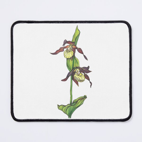Item preview, Lady Slipper Orchids designed and sold by linn-kathline.
