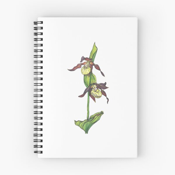Item preview, Lady Slipper Orchids designed and sold by linn-kathline.