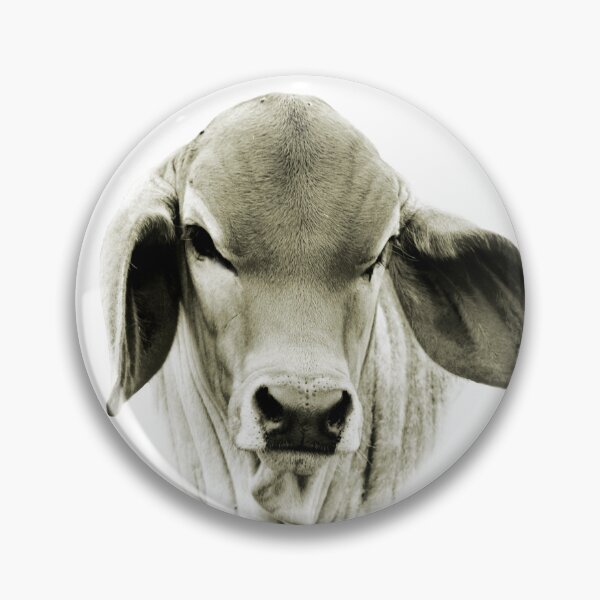 Item preview,   BRAHMAN CALF, COUNTRY WALL DECOR designed and sold by Barbara Jean Photo Art And Design.